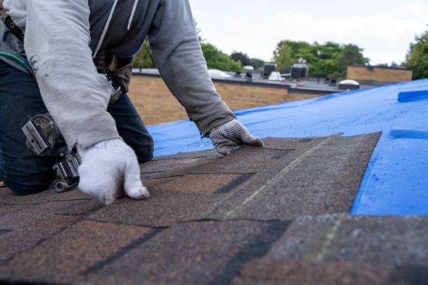 Best Roof Leak Repair  in Independence, VA